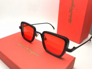 Read more about the article Ferragamo Sunglasses 799/-