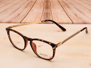 Read more about the article Optical Frames 1099/-