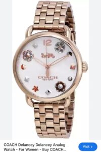 Read more about the article Coach Ladies Original Quality 3799/-